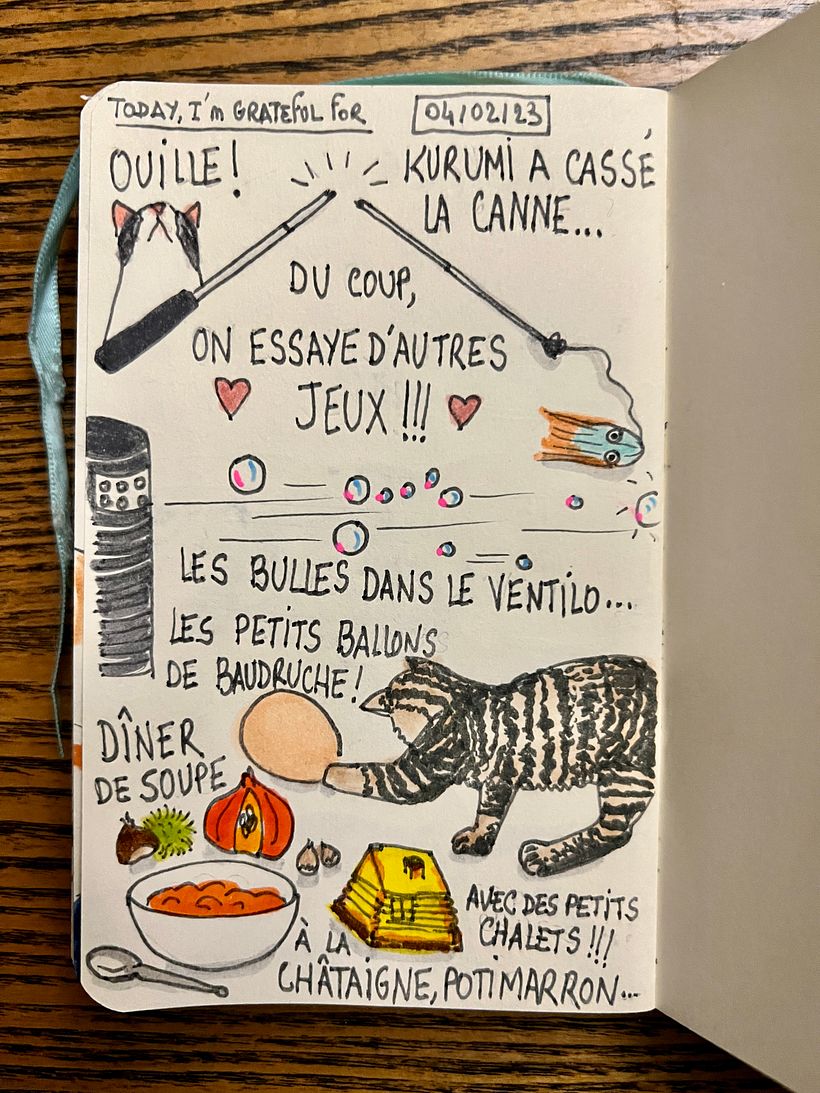 Improvising new games for the kittens after they broke their favourite toy, dining from butternut soup and festive left-overs