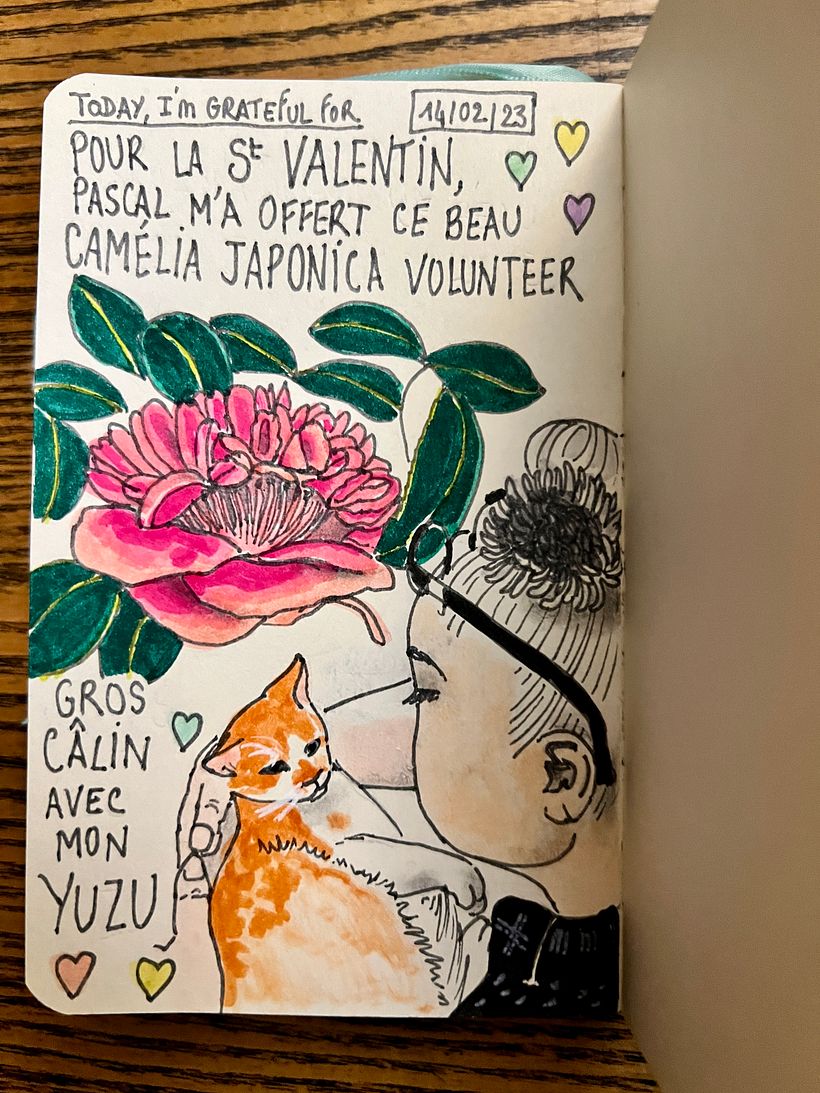For Valentine's Day, getting a magnificent camelia from my husband and a giant cuddle with my darling Yuzu