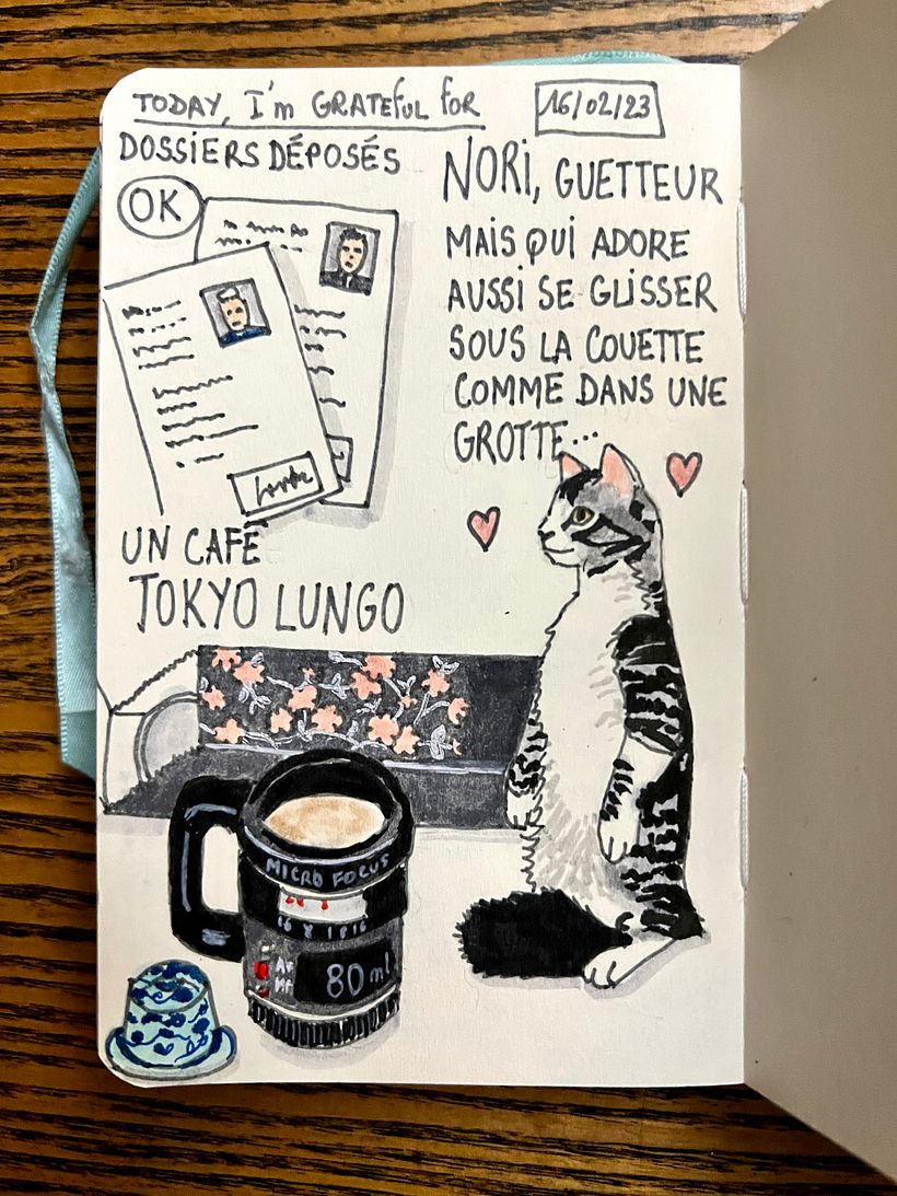 Our kitten Nori who loves to snuggle under the bed cover, drinking lovely Tokyo coffee and readying administrative papers