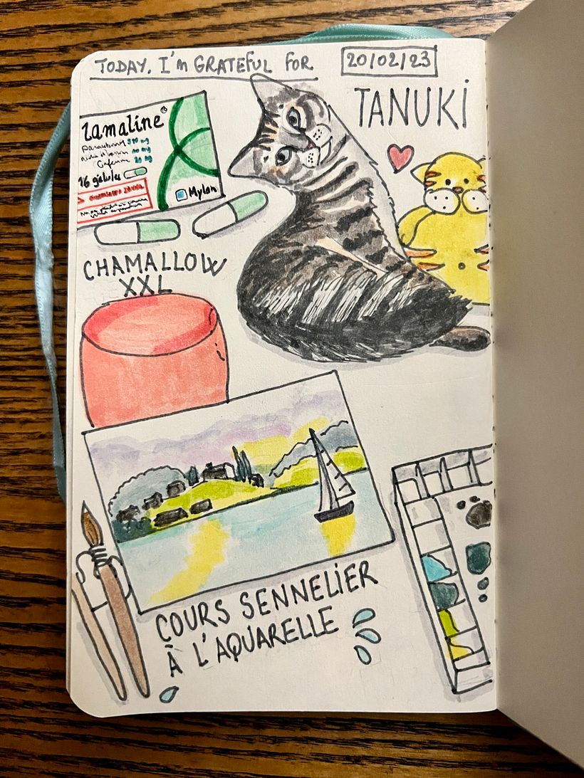 My headache begins, but there is Lamaline, I indulge in XXL marshmallow, an online painting lesson and soft eyes of Tanuki