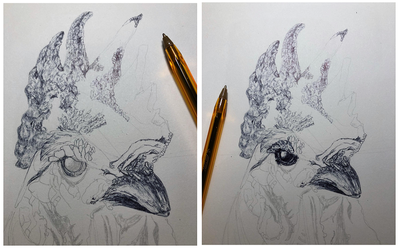 Gallo 2
