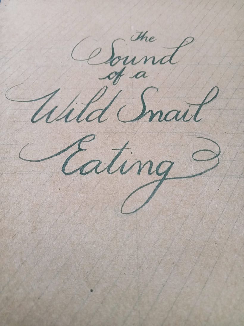 My project for course: Introduction to Flourishing for English Calligraphy 10