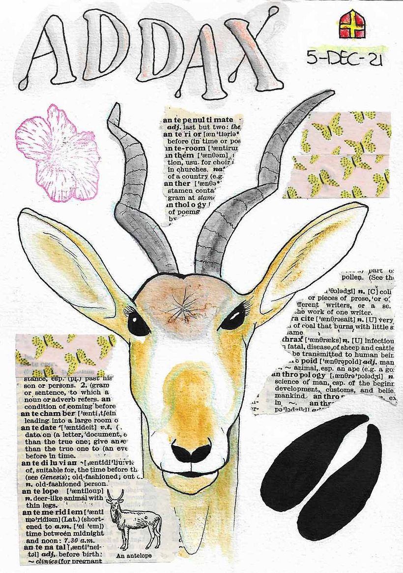 Adding collage and stamping 