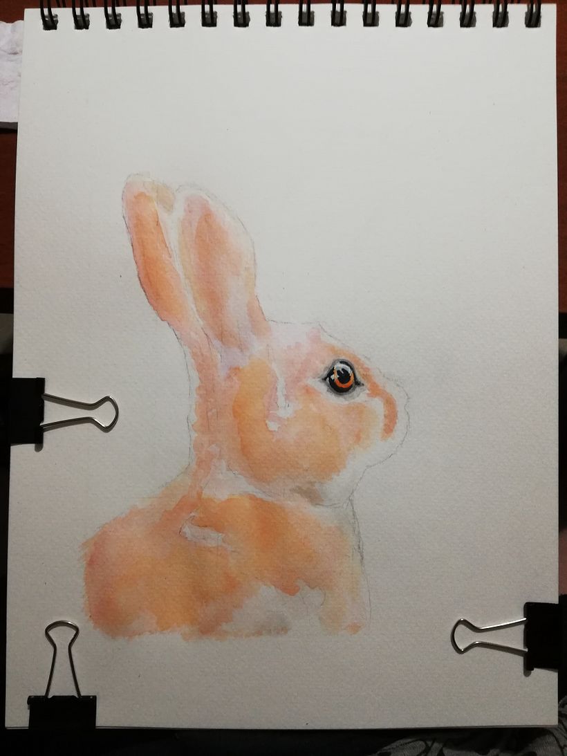 Mi proyecto del curso: Retratos expresivos de animales en acuarela 2