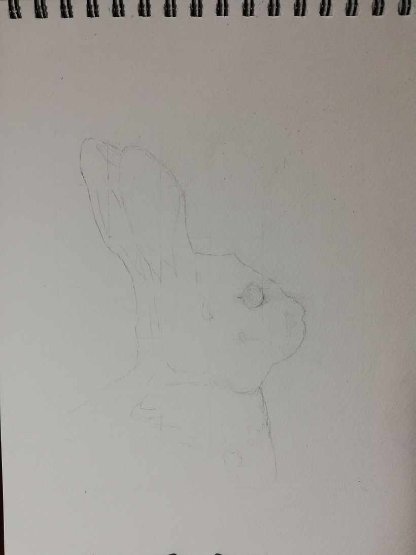 Mi proyecto del curso: Retratos expresivos de animales en acuarela 3