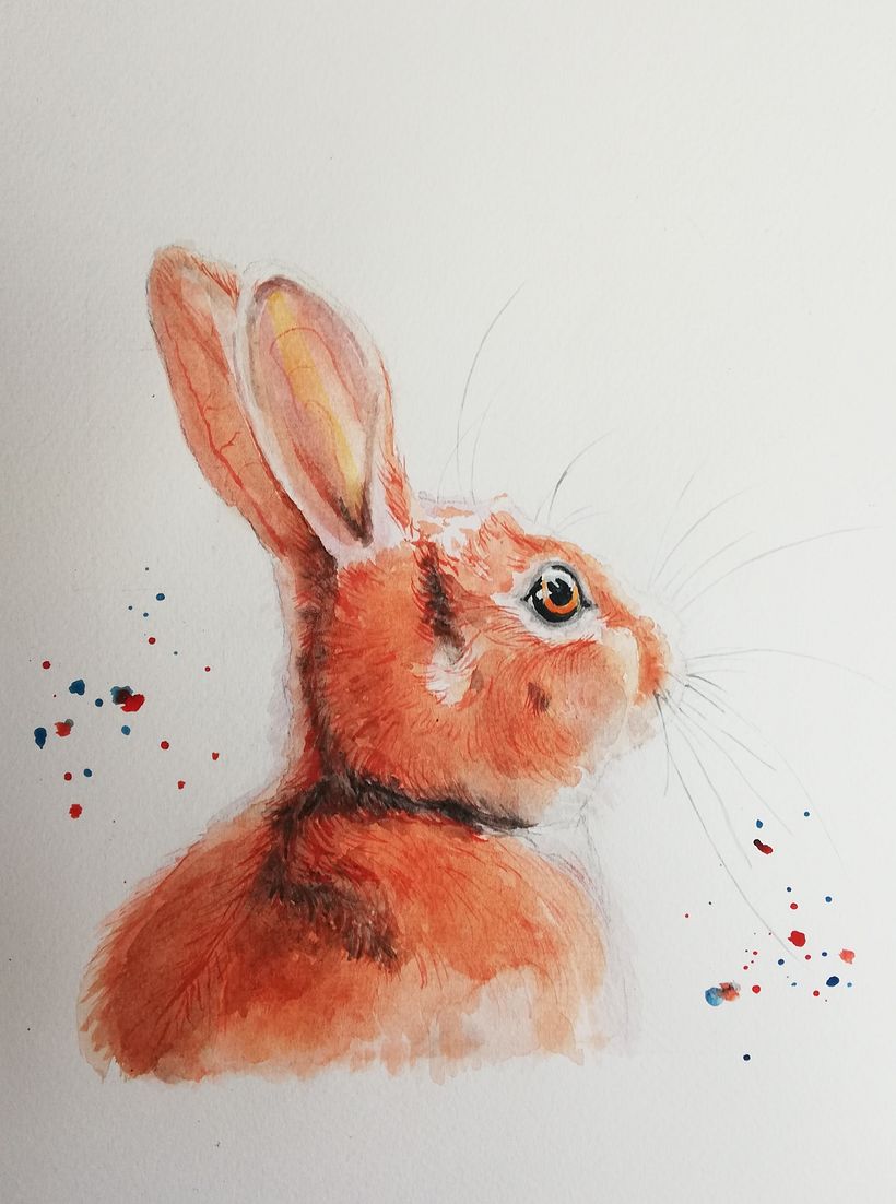 Mi proyecto del curso: Retratos expresivos de animales en acuarela 1