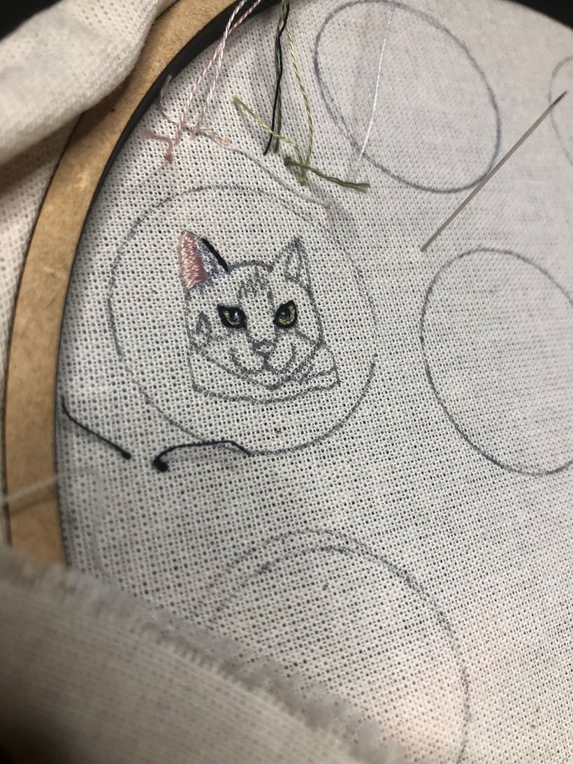 Meu projeto do curso: Minibordado realista de pet 1