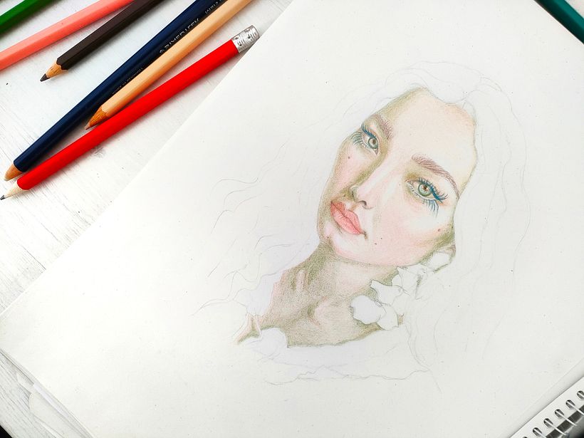 Face colors detail