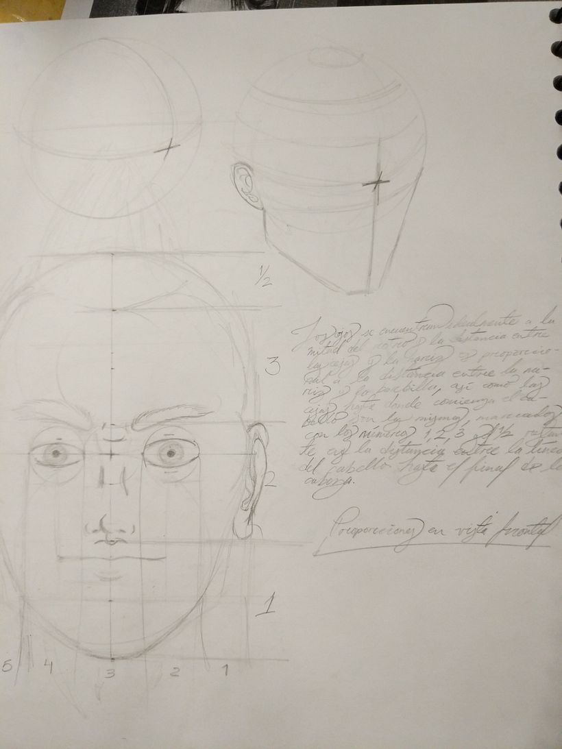 Mi proyecto del curso: Dibujo anatómico para principiantes 3