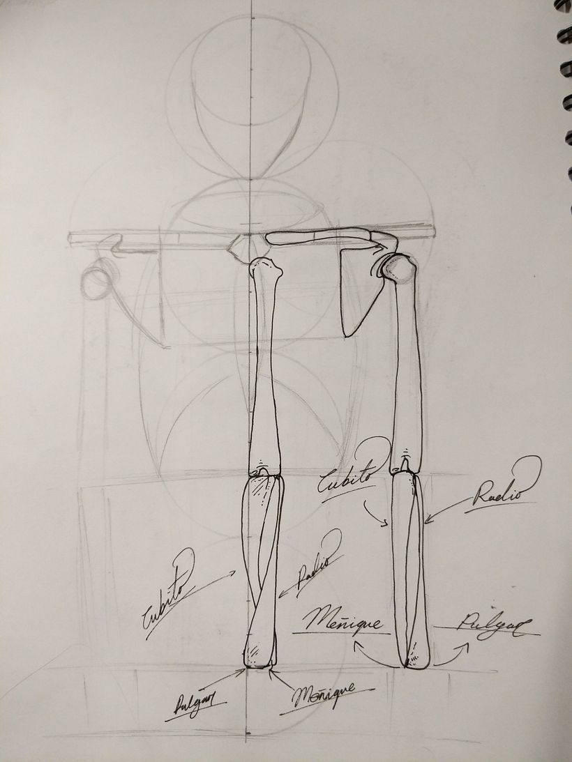 Mi proyecto del curso: Dibujo anatómico para principiantes 4