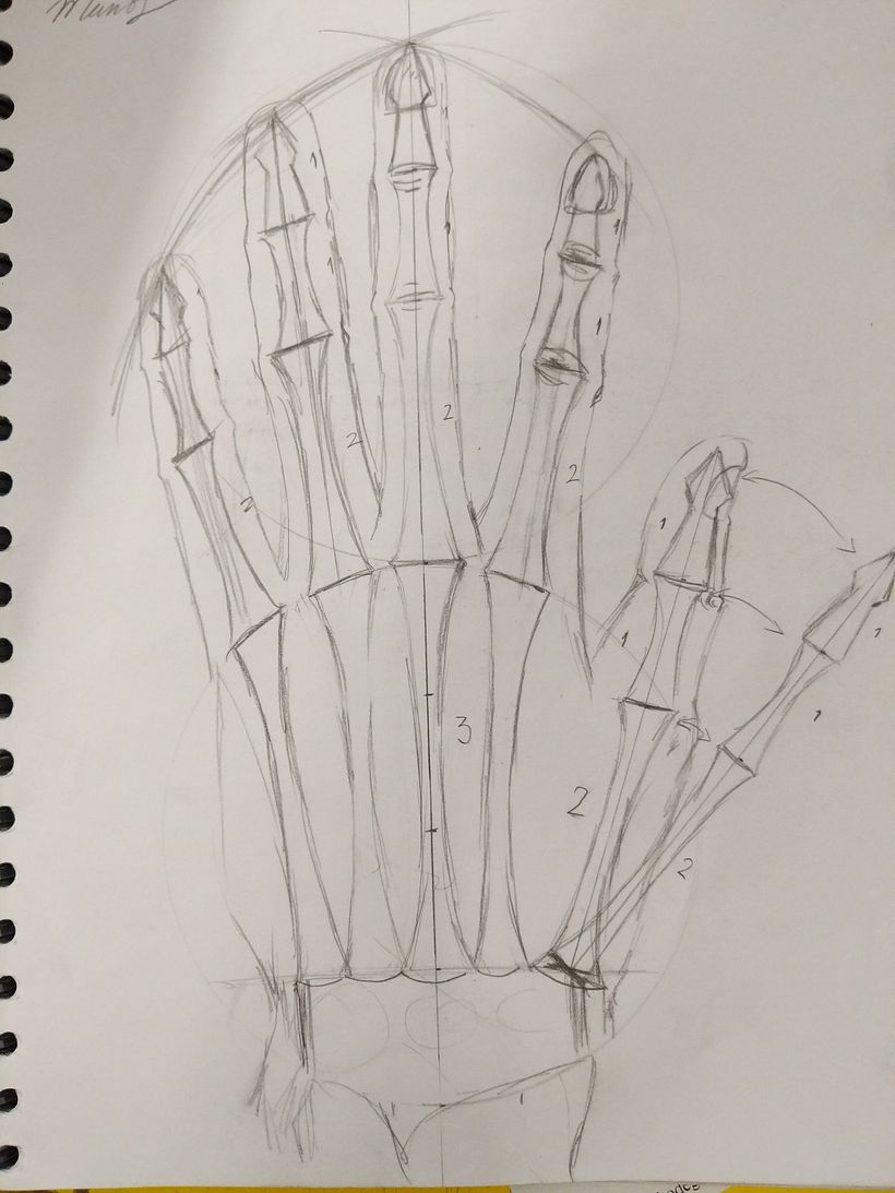 Mi proyecto del curso: Dibujo anatómico para principiantes 5
