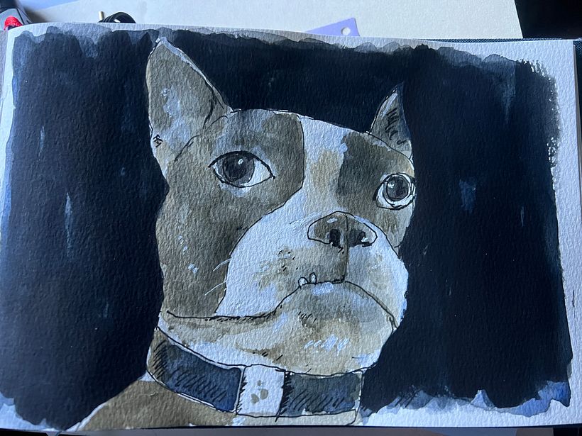 Pia, the brown Boston
