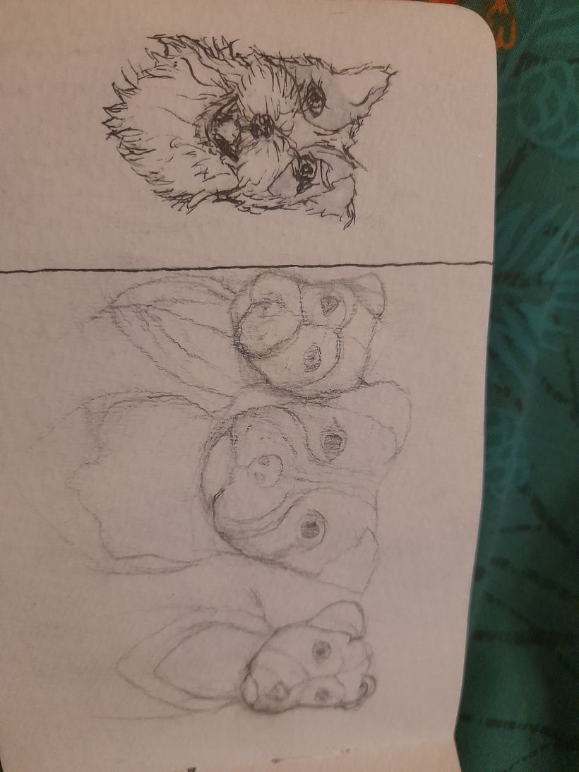 My project for course: Daily Sketching for Creative Inspiration Sample 13