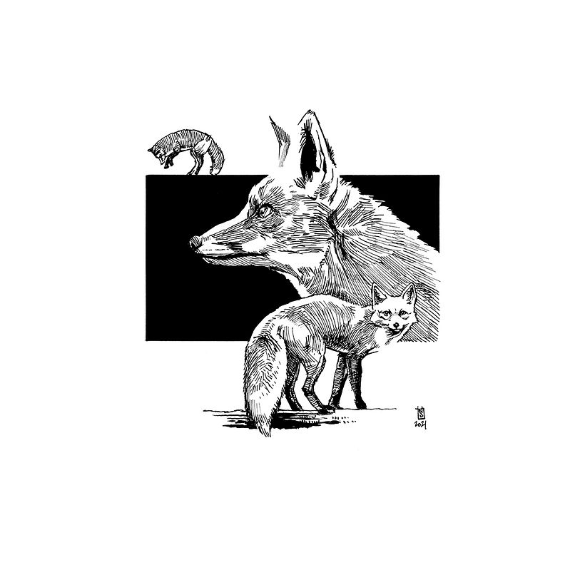 Aninkmals 10
