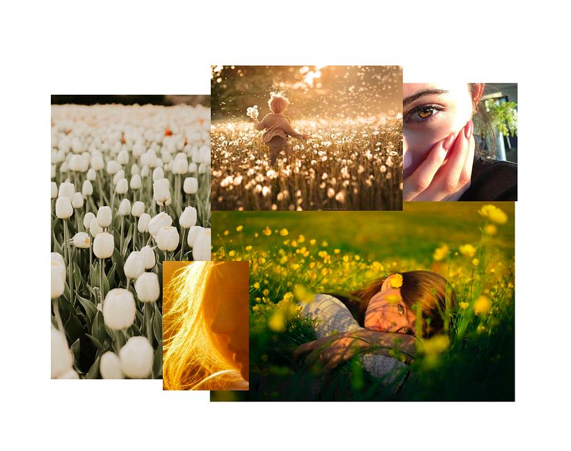 Moodboard