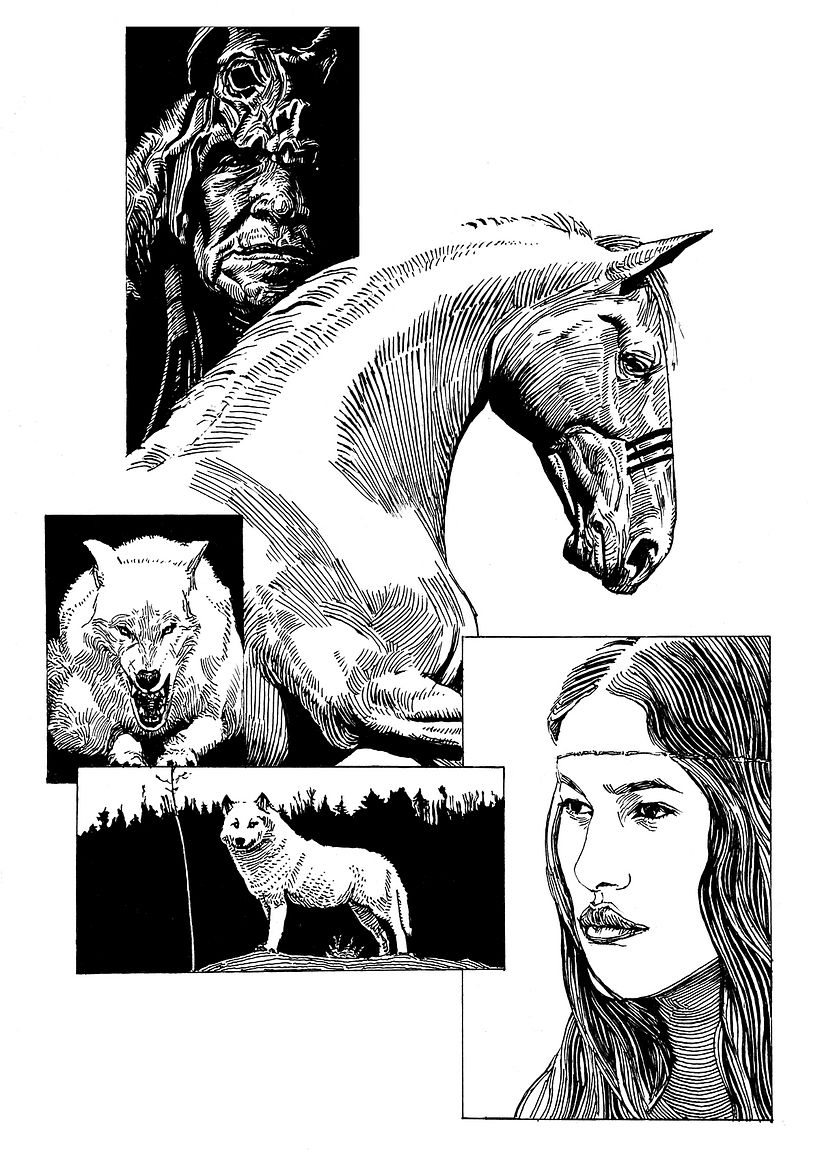 "Horse and Wolf" pen and ink illustration