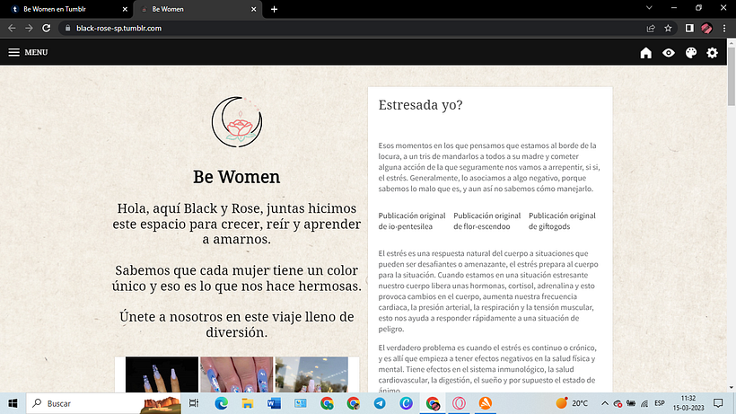Mi proyecto del curso: Introducción al blogging 1