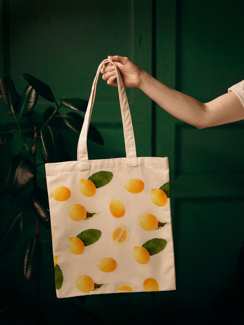 'bolsa' (modos de fusión de sombra + exposición por zonas)