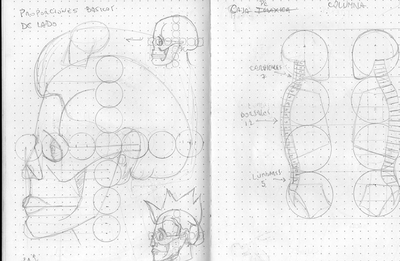 Mi proyecto del curso: Dibujo anatómico para principiantes 8