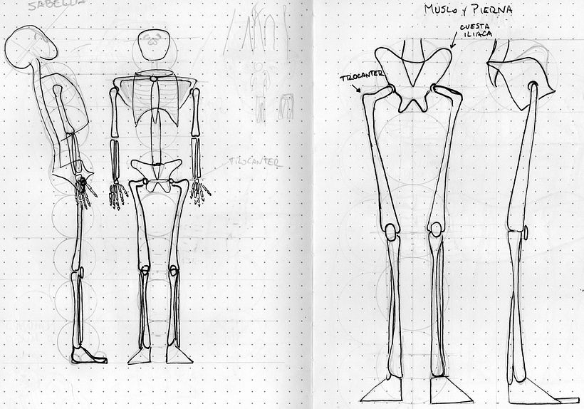 Mi proyecto del curso: Dibujo anatómico para principiantes 12