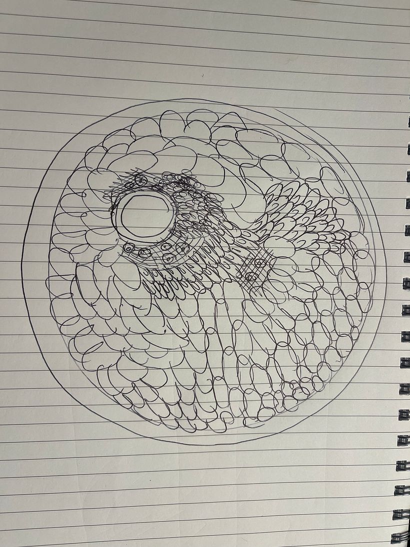 My project for course: Circular Weaving for Colorful Wall Decor 5