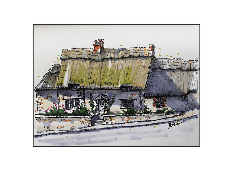 cottage - ink and marker pen