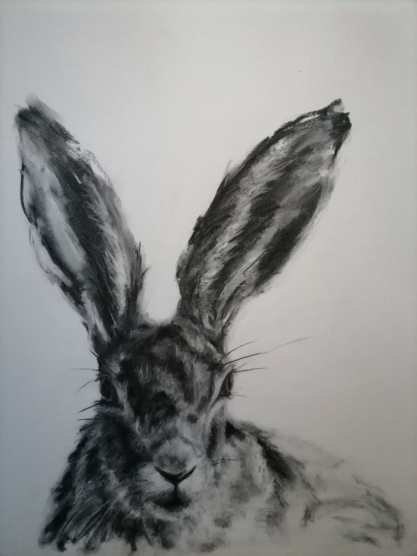 My project for course: Animal Illustration with Charcoal and Ink 20