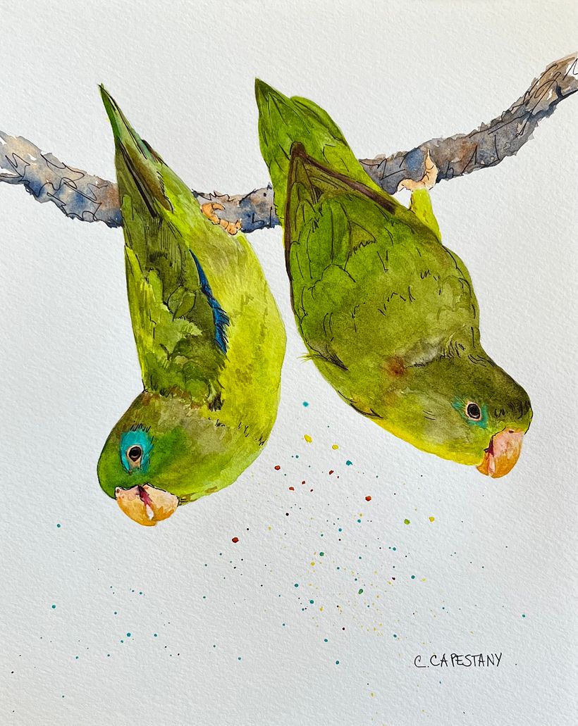 My project for course: Artistic Watercolor Techniques for Illustrating Birds 2