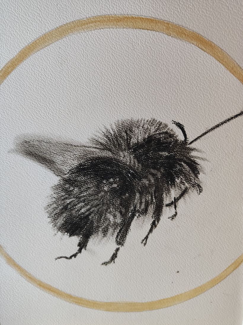 Mein Abschlussprojekt für den Kurs: Naturillustration mit Aquarell und Kohle 4