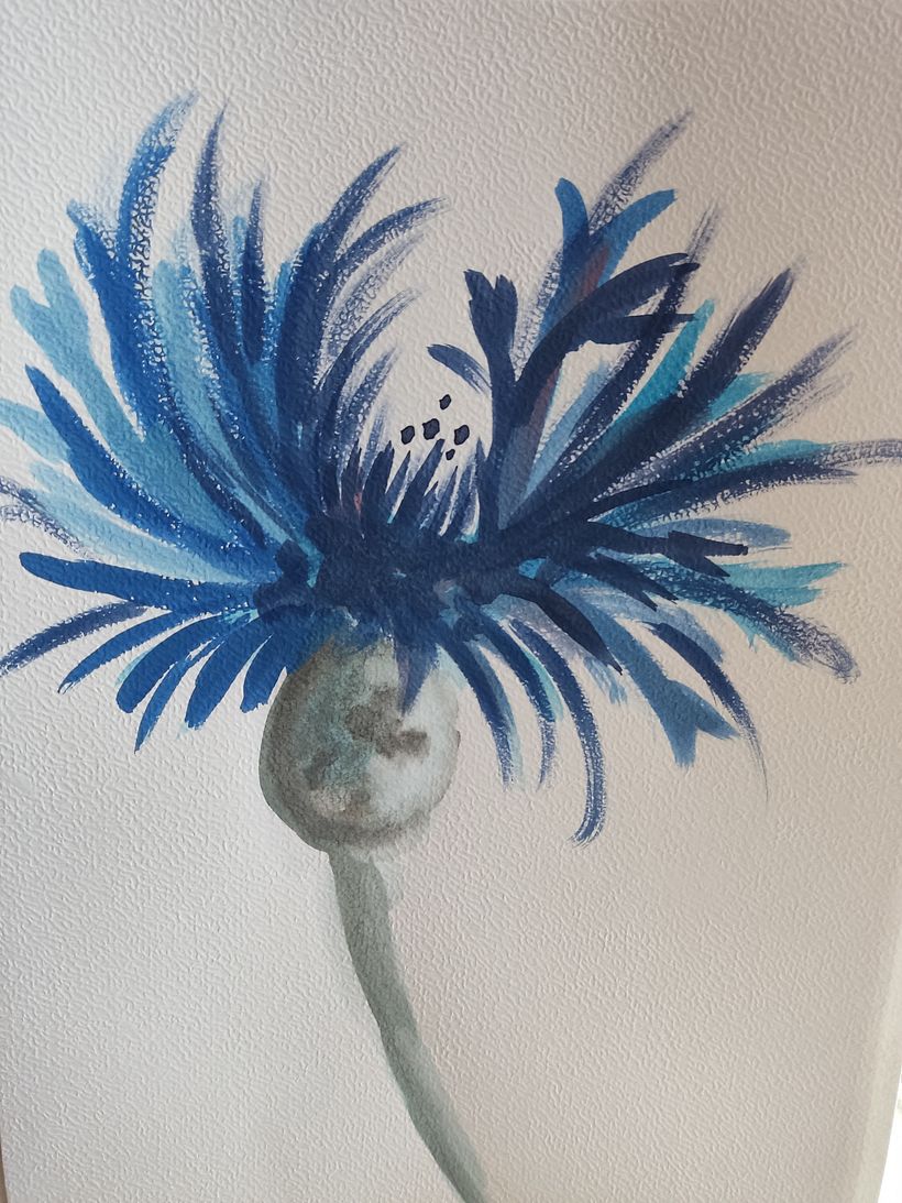 Mein Abschlussprojekt für den Kurs: Naturillustration mit Aquarell und Kohle 7