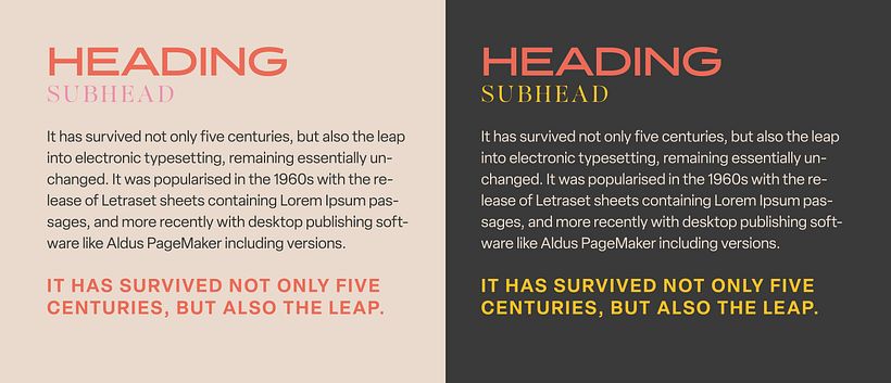 My project for course: Visual Identity Design: Create Contemporary Branding 13