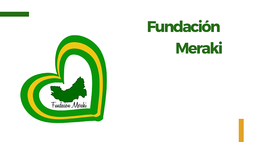 Propuesta de proyecto- Fundación Meraki 1