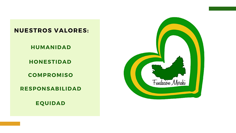 Propuesta de proyecto- Fundación Meraki 3