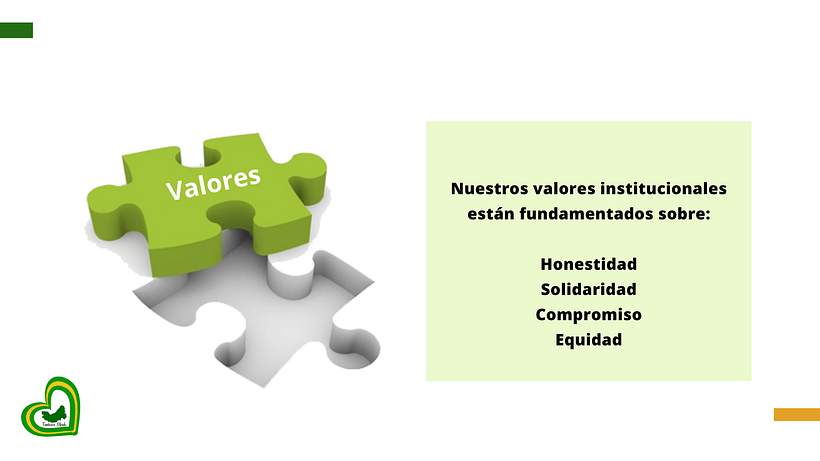 Propuesta de proyecto- Fundación Meraki 9