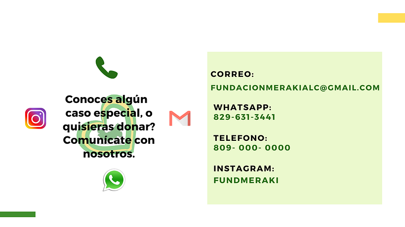 Propuesta de proyecto- Fundación Meraki 10