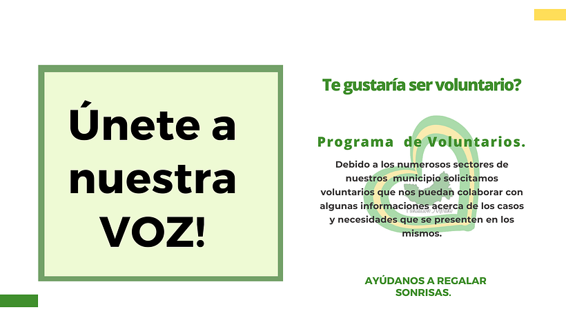 Propuesta de proyecto- Fundación Meraki 11