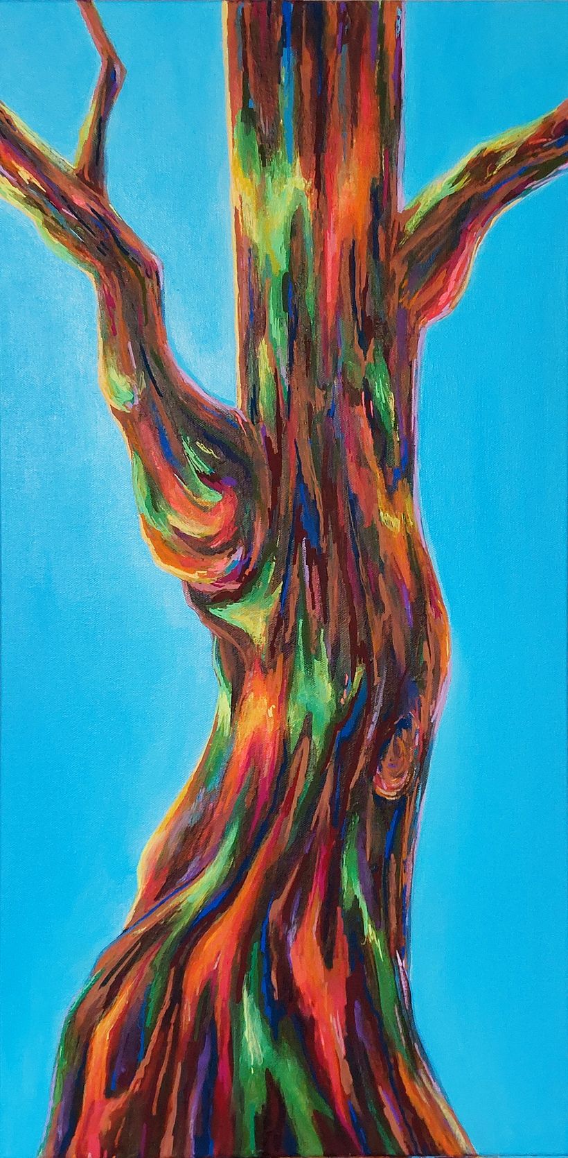 15''x30'' Acrylic painting of a Rainbow Eucalyptus (Eucalyptus deglupta) tree.