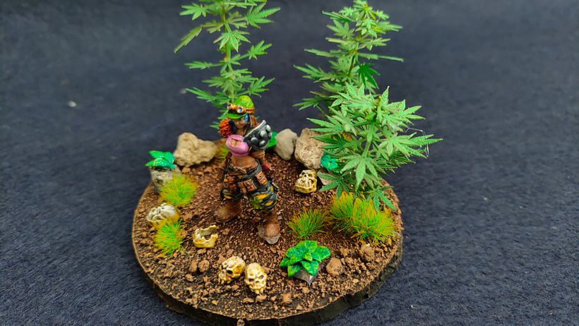 Mi proyecto del curso: Introducción a la pintura de miniaturas 6