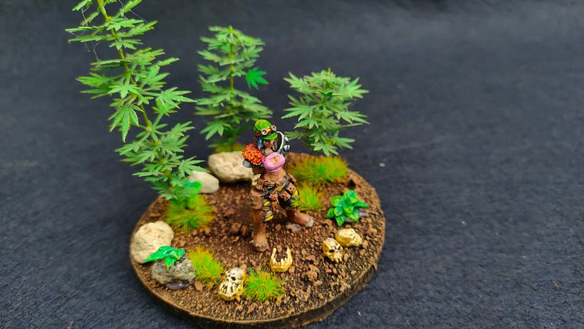 Mi proyecto del curso: Introducción a la pintura de miniaturas 7