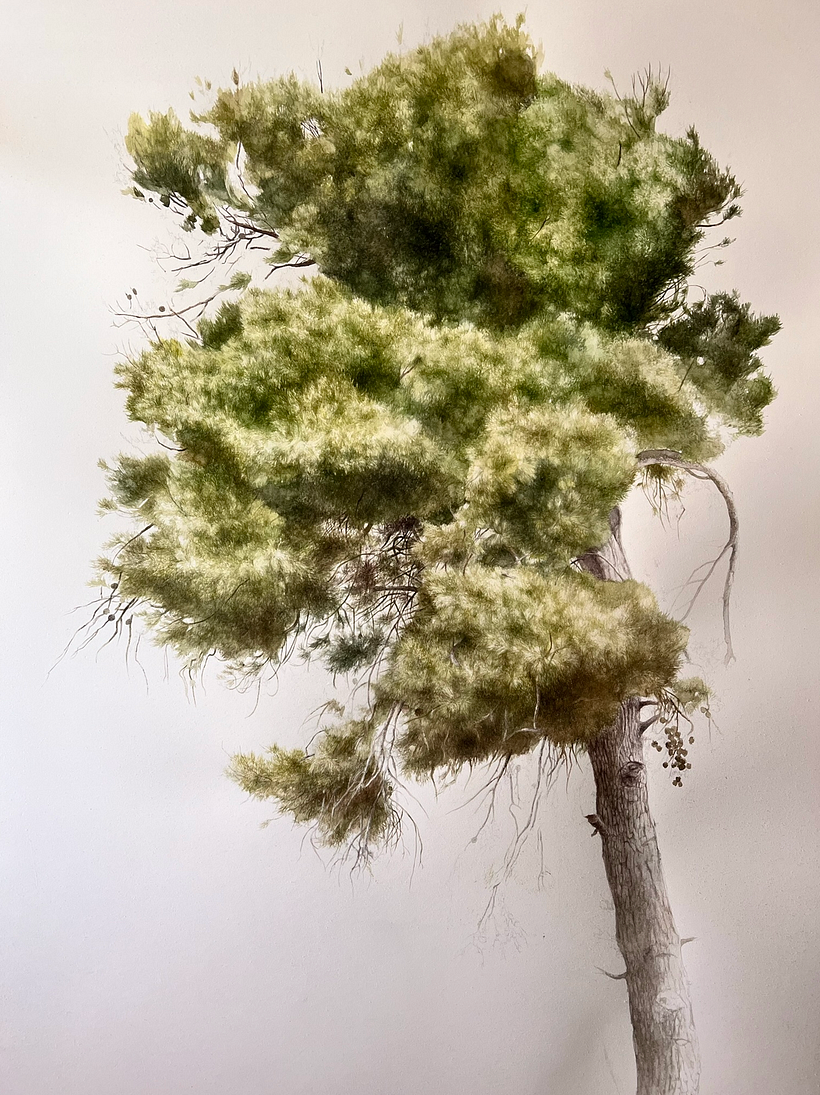 Trees Series - Drybrush Technique 4