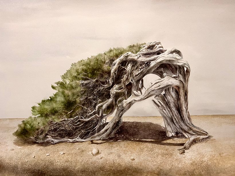 Trees Series - Drybrush Technique 4
