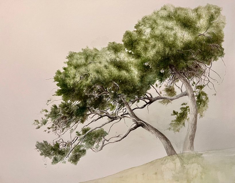 Trees Series - Drybrush Technique 4