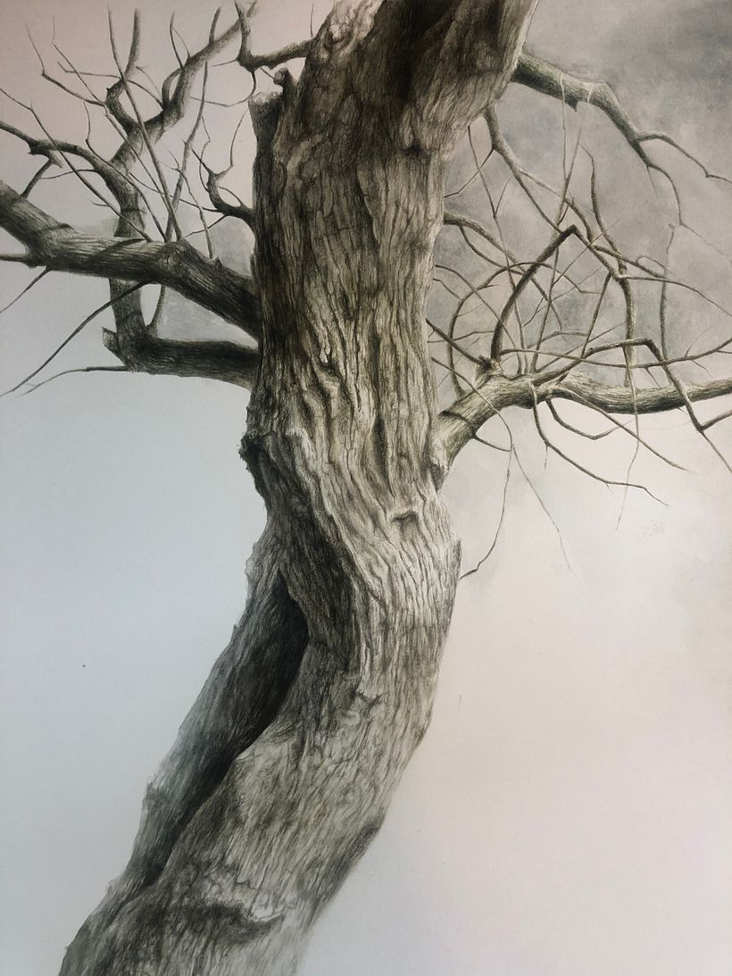 Trees Series - Drybrush Technique 4