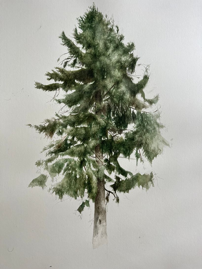 Trees Series - Drybrush Technique 5