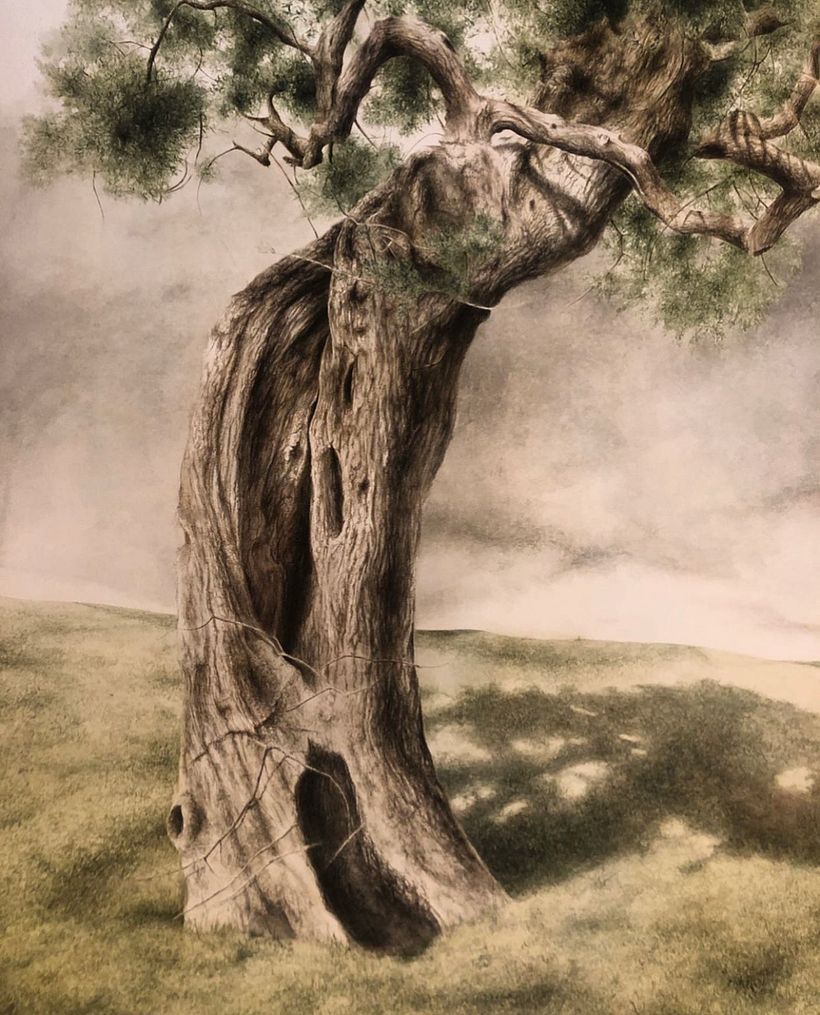 Trees Series - Drybrush Technique 7