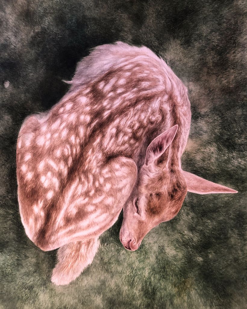 Mammals - Drybrush Technique 1