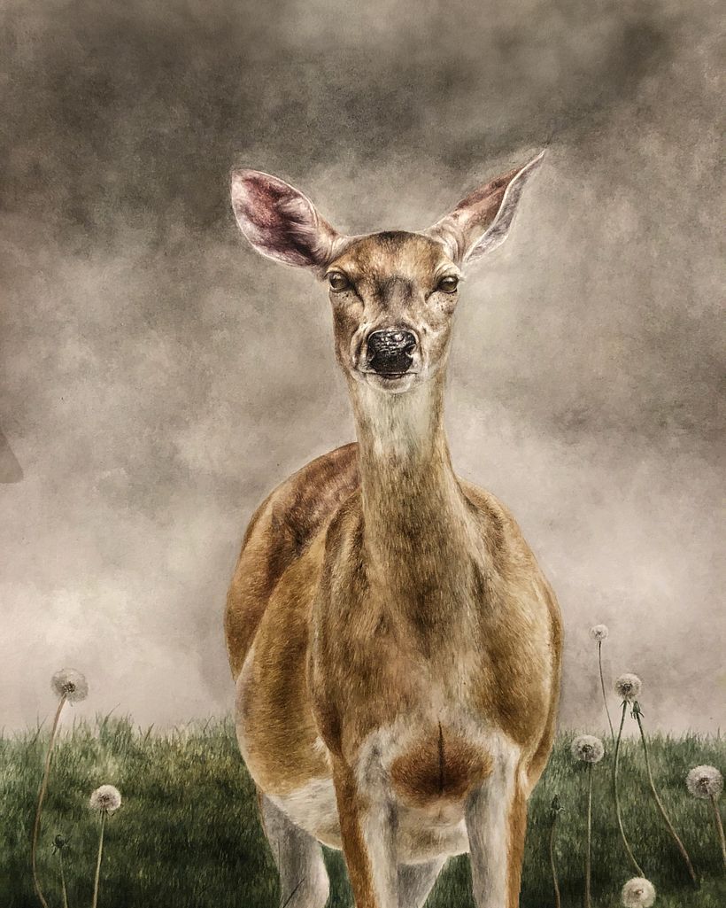 Mammals - Drybrush Technique 4