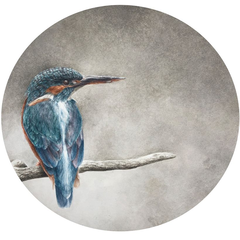 Birds Series - Drybrush Technique 2