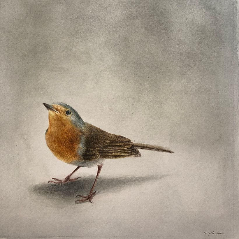 Birds Series - Drybrush Technique 3