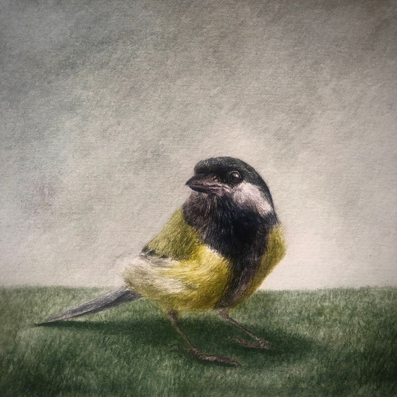 Birds Series - Drybrush Technique 4